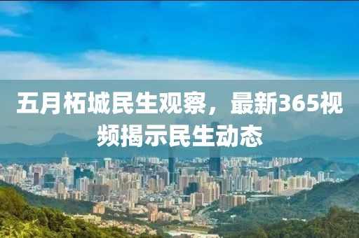 五月柘城民生观察，最新365视频揭示民生动态
