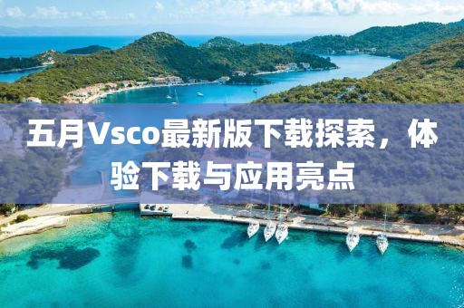 五月Vsco最新版下载探索，体验下载与应用亮点