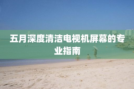 五月深度清洁电视机屏幕的专业指南