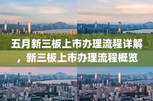 五月新三板上市办理流程详解，新三板上市办理流程概览
