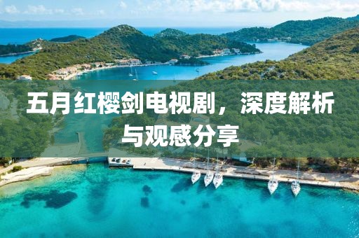 五月红樱剑电视剧，深度解析与观感分享