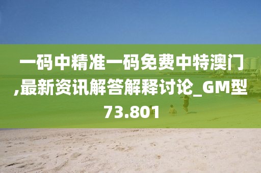 一码中精准一码免费中特澳门,最新资讯解答解释讨论_GM型73.801