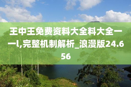 王中王免费资料大全料大全一一l,完整机制解析_浪漫版24.656