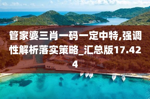 管家婆三肖一码一定中特,强调性解析落实策略_汇总版17.424