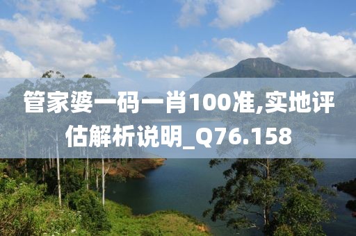 管家婆一码一肖100准,实地评估解析说明_Q76.158