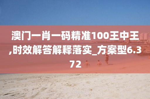 澳门一肖一码精准100王中王,时效解答解释落实_方案型6.372