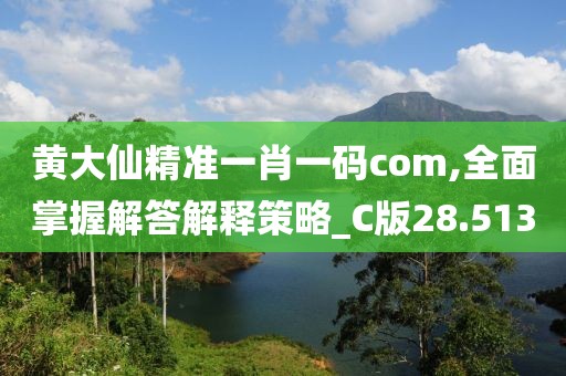 黄大仙精准一肖一码com,全面掌握解答解释策略_C版28.513