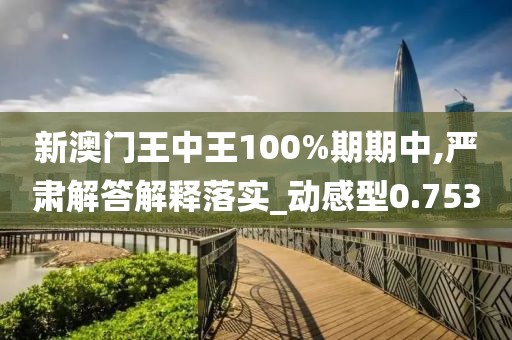新澳门王中王100%期期中,严肃解答解释落实_动感型0.753
