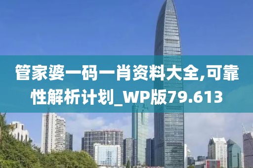 管家婆一码一肖资料大全,可靠性解析计划_WP版79.613