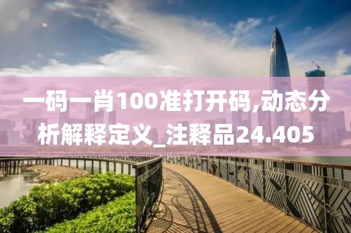 一码一肖100准打开码,动态分析解释定义_注释品24.405