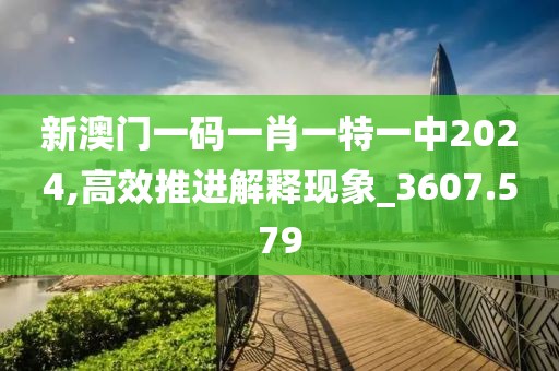 新澳门一码一肖一特一中2024,高效推进解释现象_3607.579