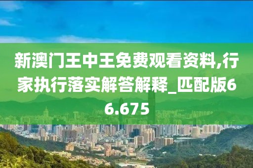 新澳门王中王免费观看资料,行家执行落实解答解释_匹配版66.675