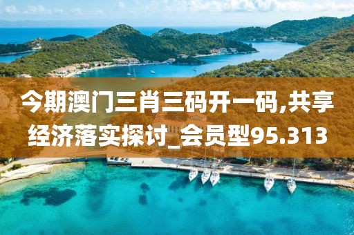 今期澳门三肖三码开一码,共享经济落实探讨_会员型95.313