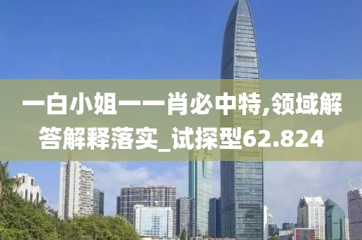 一白小姐一一肖必中特,领域解答解释落实_试探型62.824