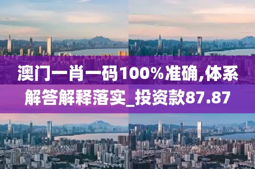 澳门一肖一码100%准确,体系解答解释落实_投资款87.87