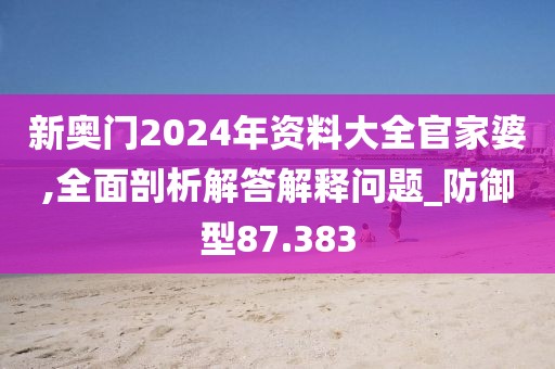 新奥门2024年资料大全官家婆,全面剖析解答解释问题_防御型87.383