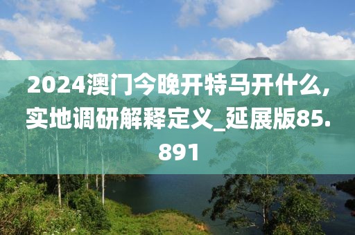 2024澳门今晚开特马开什么,实地调研解释定义_延展版85.891