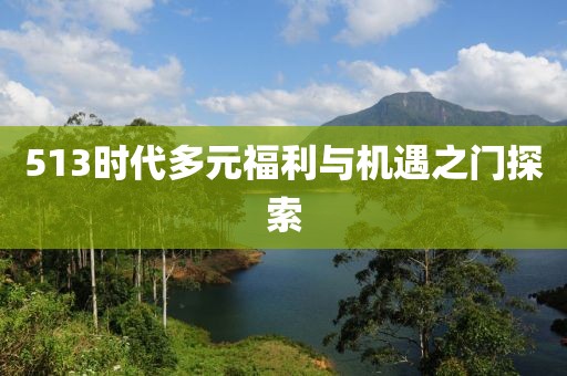 513时代多元福利与机遇之门探索