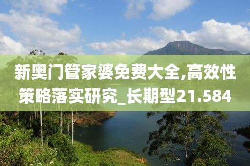 新奥门管家婆免费大全,高效性策略落实研究_长期型21.584