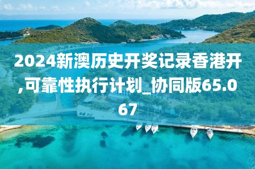 2024新澳历史开奖记录香港开,可靠性执行计划_协同版65.067