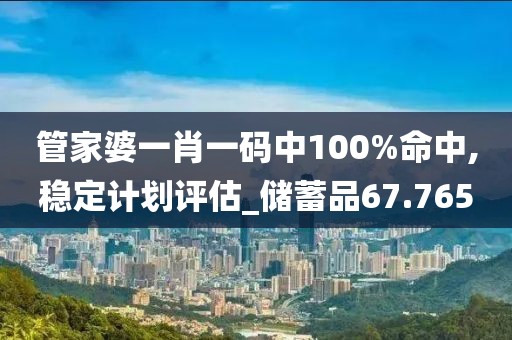 管家婆一肖一码中100%命中,稳定计划评估_储蓄品67.765