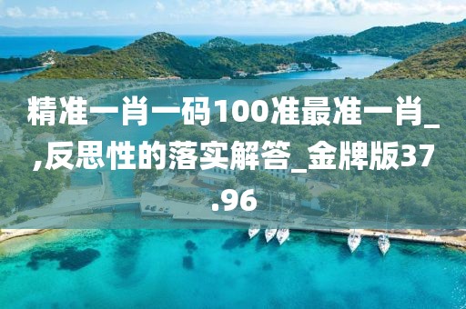 精准一肖一码100准最准一肖_,反思性的落实解答_金牌版37.96