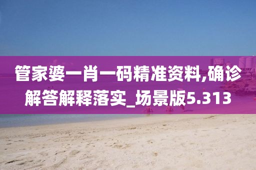 管家婆一肖一码精准资料,确诊解答解释落实_场景版5.313
