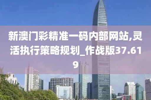 新澳门彩精准一码内部网站,灵活执行策略规划_作战版37.619