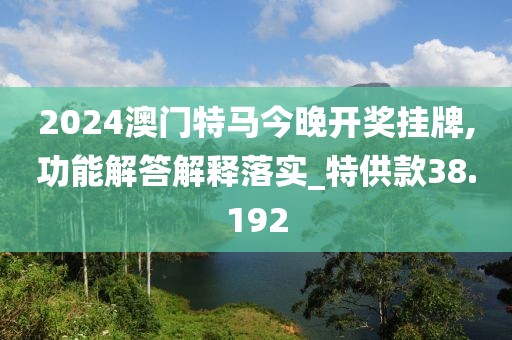 2024澳门特马今晚开奖挂牌,功能解答解释落实_特供款38.192