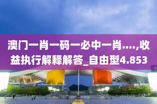 澳门一肖一码一必中一肖....,收益执行解释解答_自由型4.853