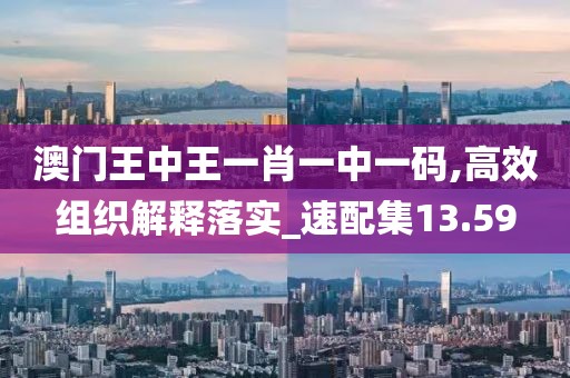 澳门王中王一肖一中一码,高效组织解释落实_速配集13.59