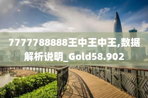 7777788888王中王中王,数据解析说明_Gold58.902
