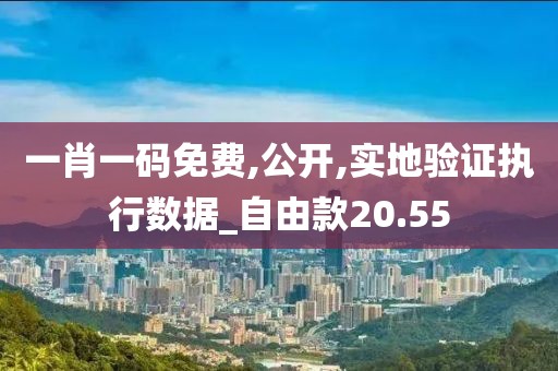 一肖一码免费,公开,实地验证执行数据_自由款20.55