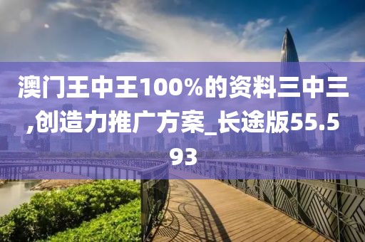 澳门王中王100%的资料三中三,创造力推广方案_长途版55.593