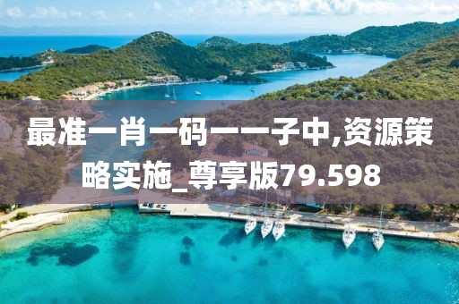 最准一肖一码一一子中,资源策略实施_尊享版79.598
