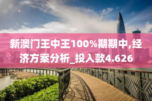新澳门王中王100%期期中,经济方案分析_投入款4.626