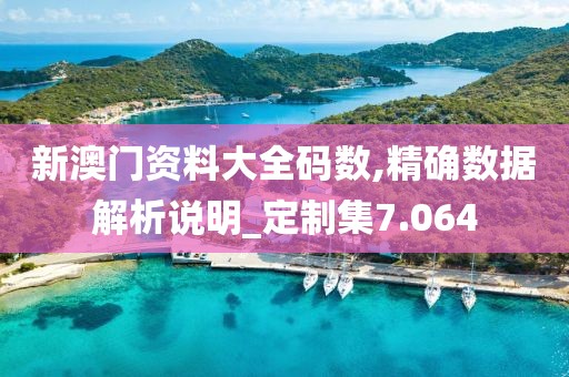 新澳门资料大全码数,精确数据解析说明_定制集7.064