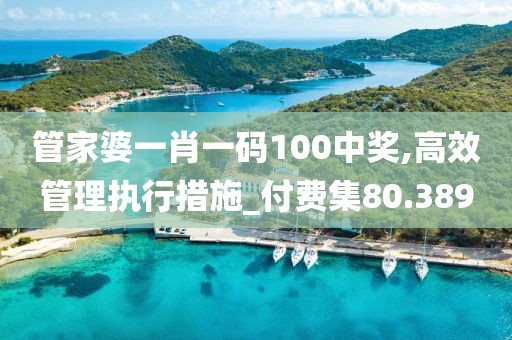 管家婆一肖一码100中奖,高效管理执行措施_付费集80.389