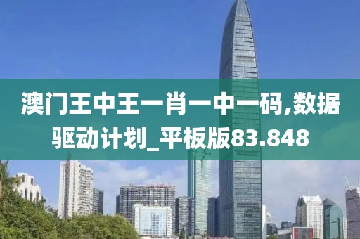 澳门王中王一肖一中一码,数据驱动计划_平板版83.848