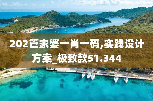 202管家婆一肖一码,实践设计方案_极致款51.344