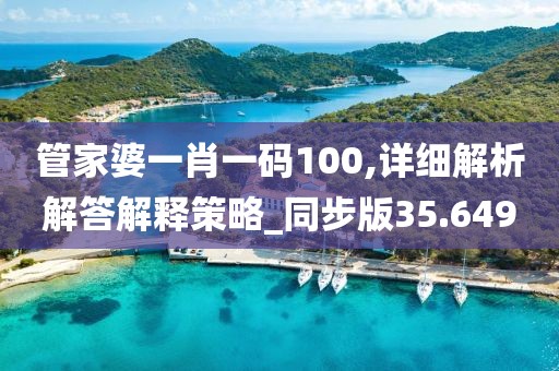 管家婆一肖一码100,详细解析解答解释策略_同步版35.649