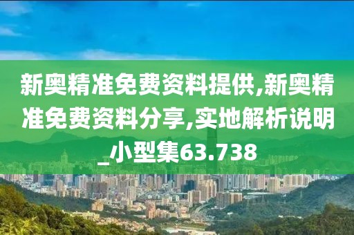 新奥精准免费资料提供,新奥精准免费资料分享,实地解析说明_小型集63.738