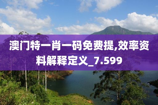 澳门特一肖一码免费提,效率资料解释定义_7.599