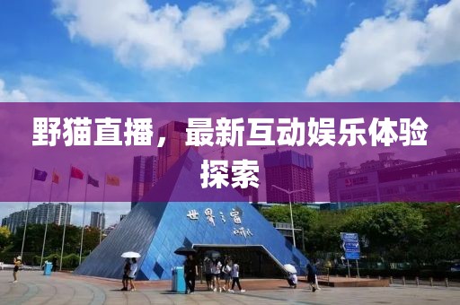野猫直播，最新互动娱乐体验探索