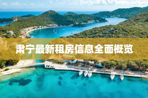 肃宁最新租房信息全面概览