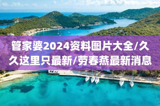 管家婆2024资料图片大全/久久这里只最新/劳春燕最新消息