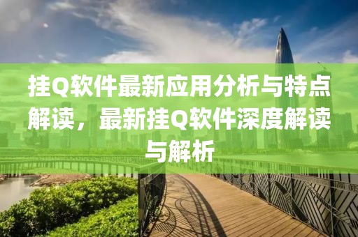 挂Q软件最新应用分析与特点解读，最新挂Q软件深度解读与解析