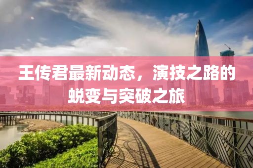 王传君最新动态，演技之路的蜕变与突破之旅