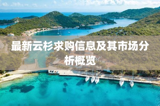 新澳门天天开好彩大全 第71页