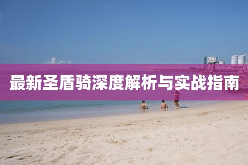 最新圣盾骑深度解析与实战指南